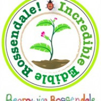Incredible Edible Rossendale avatar image